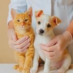 Clawfield Veterinary Clinic - photo 3