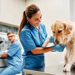 Clawfield Veterinary Clinic - photo 4