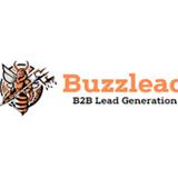 BuzzLead - Business Consulting in Saint Pete Beach