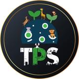 Theplanetsoft - Web Design & Development in Surat