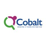 Cobalt Search - Recruitment in Boston