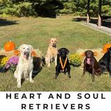 Heart and Soul Retrievers - Dog Walkers in Brookfield