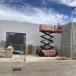 PSG Painting - photo 3