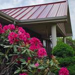 VestaMe Sales - photo 1