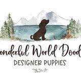 Wonderful World Doodles - Pet/Animal Breeders in South Jordan