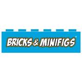 Bricks & Minifigs Buffalo Southtowns