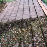 MPowell Cleaning Services - photo 1