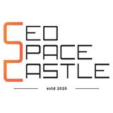 SEO Space Castle India - Marketing in Sahibzada Ajit Singh Nagar