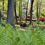 Grant Brothers Tree Service - photo 5