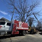 Grant Brothers Tree Service - photo 7