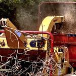 Grant Brothers Tree Service - photo 8