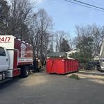 Grant Brothers Tree Service - photo 9