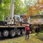 Grant Brothers Tree Service - photo 10