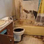 Pursuit Restoration - photo 9