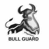 My Bull Guard - Professional Services in New York