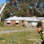 Clean Cut Tree Experts - photo 8