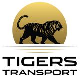 Tigers Transport - Minibus & Coach Hire - Bus Rental in Ilford