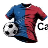 24Camiseta  - Home Organization in Sheridan