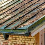 Invicta Pest Control - photo 2