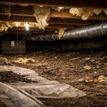 Invicta Pest Control - photo 3