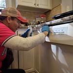 Invicta Pest Control - photo 8