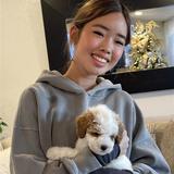 Valencia Poodles - Dog Walkers in Sacramento