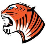 Tiger Granite and Marble - Kitchen Cabinets in Chester