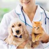 Pet Care Service - Pets in Oklahoma City
