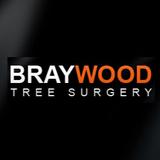 Braywood Tree Surgery Ltd - Tree Services in Bracknell