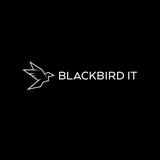 Blackbird IT - IT Services & Computer Repair in Dulwich