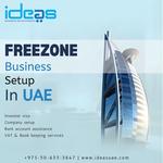 Ideas Business Setup Experts - photo 8