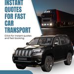 Direct Connect Auto Transport - photo 5