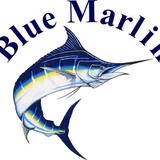 Sport Fishing Blue Marlin