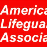 American Lifeguard Association - Professional Services in Vienna