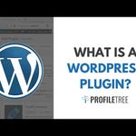 ProfileTree Web Design and Digital Marketing - photo 6