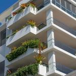 Pro M Home Renovation - photo 2