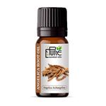 The Pure Essential Oils - photo 2