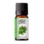 The Pure Essential Oils - photo 3