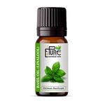 The Pure Essential Oils - photo 4