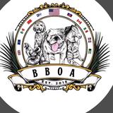 BBOA KENNEL CLUB INC. - Pets in Miami Beach