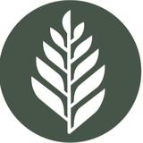 Cedar Wellness Center - Counseling & Mental Health in Tacoma