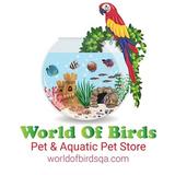 World Of Birds - Pet Stores in Doha