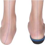 ortho tecnica - photo 2