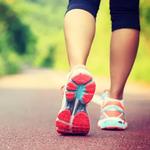 ortho tecnica - photo 4