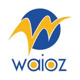 Waioz Consultancy Services - Management Consultants in Madurai
