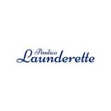 Pimlico Launderette - Business Consulting in London