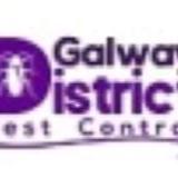Galway Pest Control  - Pest Control in Galway