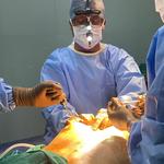 Dr. Ashish Ghuge - photo 7