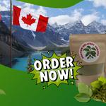 Kratom Delivery Canada - photo 1