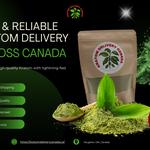 Kratom Delivery Canada - photo 5